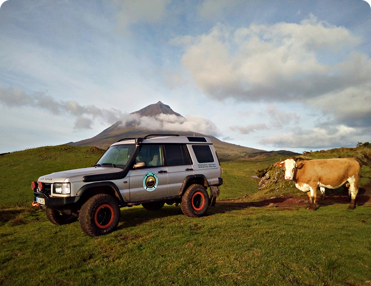 Jeep Tour