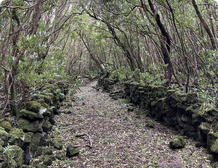 Pico West & East Coast Hikes