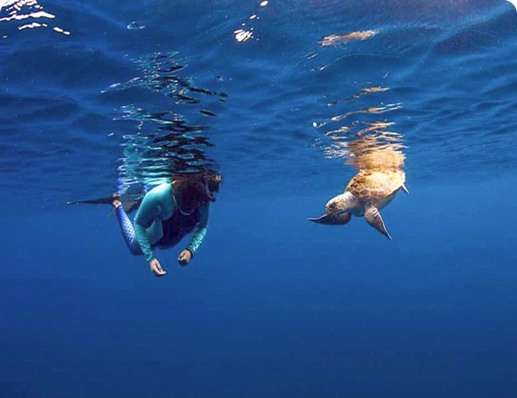 Princess Alice Snorkelling