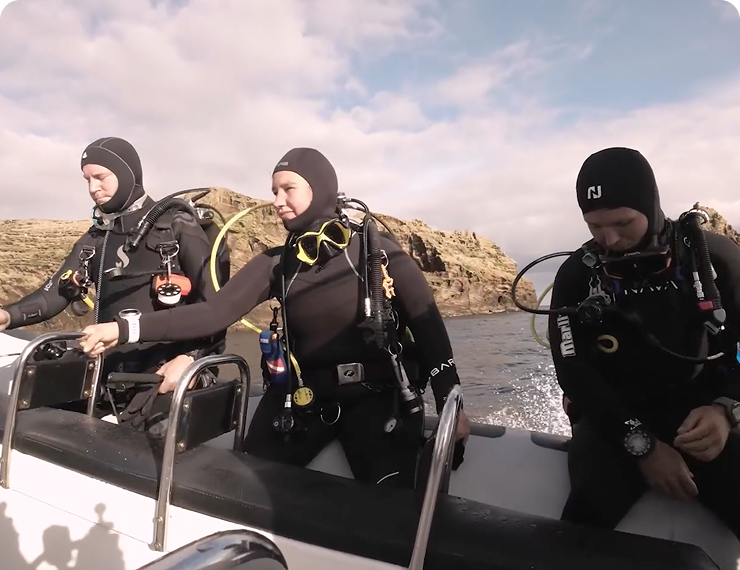 Whale and Dolphin Watching